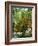 Azalea Way, Botanical Gardens, Bronx, NY-Lauree Feldman-Framed Photographic Print