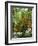 Azalea Way, Botanical Gardens, Bronx, NY-Lauree Feldman-Framed Photographic Print