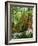 Azalea Way, Botanical Gardens, Bronx, NY-Lauree Feldman-Framed Photographic Print