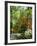 Azalea Way, Botanical Gardens, Bronx, NY-Lauree Feldman-Framed Photographic Print