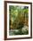 Azalea Way, Botanical Gardens, Bronx, NY-Lauree Feldman-Framed Photographic Print