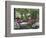 Azalea Way, Botanical Gardens, Bronx, NY-Lauree Feldman-Framed Photographic Print