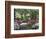 Azalea Way, Botanical Gardens, Bronx, NY-Lauree Feldman-Framed Photographic Print