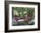 Azalea Way, Botanical Gardens, Bronx, NY-Lauree Feldman-Framed Photographic Print