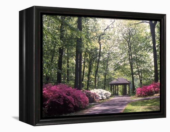 Azalea Way, Botanical Gardens, Bronx, NY-Lauree Feldman-Framed Premier Image Canvas