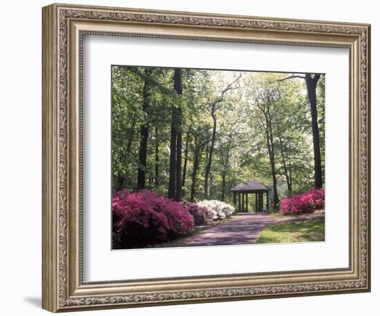 Azalea Way, Botanical Gardens, Bronx, NY-Lauree Feldman-Framed Photographic Print