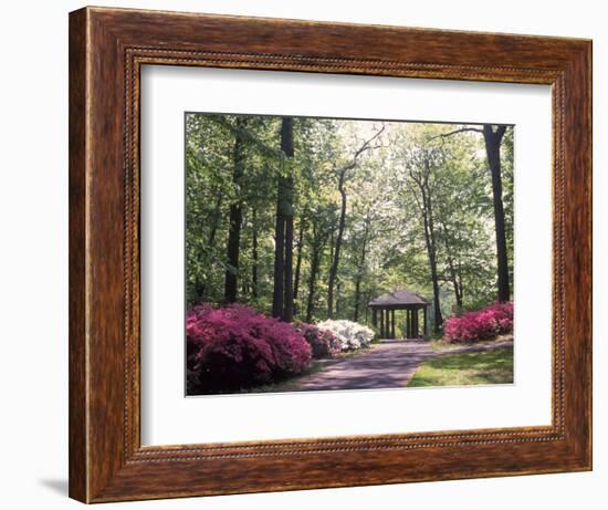 Azalea Way, Botanical Gardens, Bronx, NY-Lauree Feldman-Framed Photographic Print