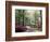 Azalea Way, Botanical Gardens, Bronx, NY-Lauree Feldman-Framed Photographic Print