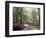 Azalea Way, Botanical Gardens, Bronx, NY-Lauree Feldman-Framed Photographic Print