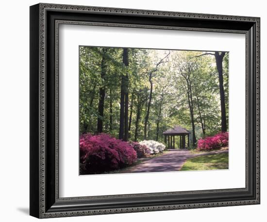 Azalea Way, Botanical Gardens, Bronx, NY-Lauree Feldman-Framed Photographic Print