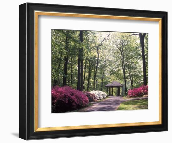 Azalea Way, Botanical Gardens, Bronx, NY-Lauree Feldman-Framed Photographic Print