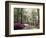 Azalea Way, Botanical Gardens, Bronx, NY-Lauree Feldman-Framed Photographic Print