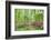 Azalea Woods, Winterthur, Delaware, Usa-Lisa S. Engelbrecht-Framed Photographic Print