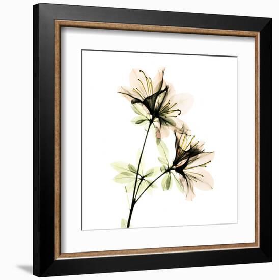 Azalea-Albert Koetsier-Framed Art Print