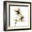 Azalea-Albert Koetsier-Framed Art Print