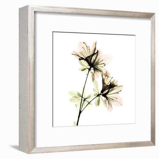 Azalea-Albert Koetsier-Framed Art Print