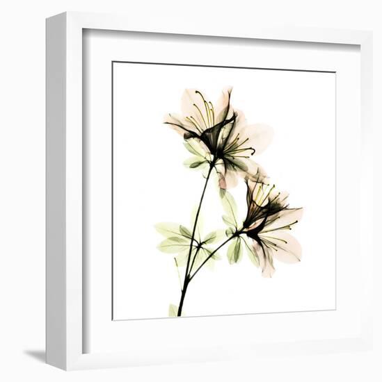 Azalea-Albert Koetsier-Framed Art Print