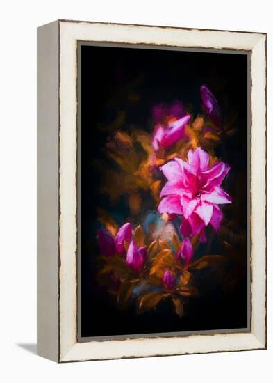 Azalea-Philippe Sainte-Laudy-Framed Premier Image Canvas