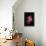 Azalea-Philippe Sainte-Laudy-Framed Premier Image Canvas displayed on a wall