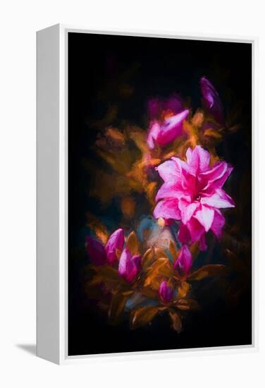 Azalea-Philippe Sainte-Laudy-Framed Premier Image Canvas