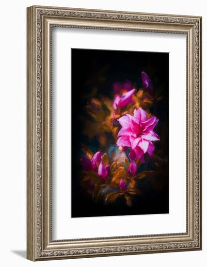 Azalea-Philippe Sainte-Laudy-Framed Photographic Print