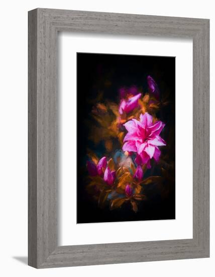 Azalea-Philippe Sainte-Laudy-Framed Photographic Print