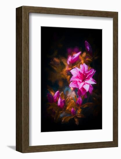 Azalea-Philippe Sainte-Laudy-Framed Photographic Print