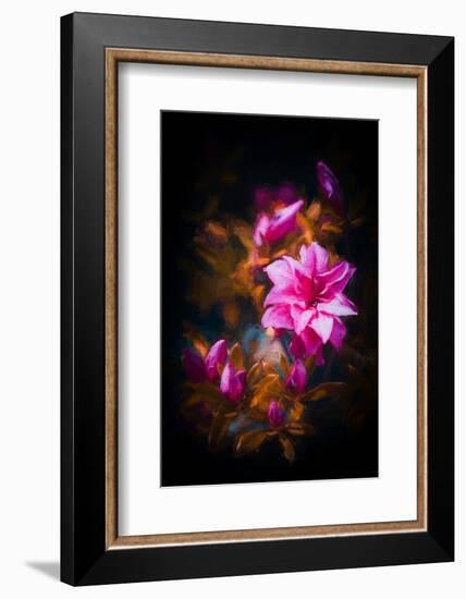 Azalea-Philippe Sainte-Laudy-Framed Photographic Print