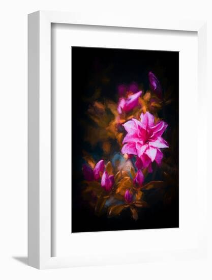 Azalea-Philippe Sainte-Laudy-Framed Photographic Print