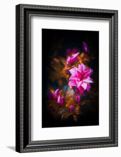 Azalea-Philippe Sainte-Laudy-Framed Photographic Print