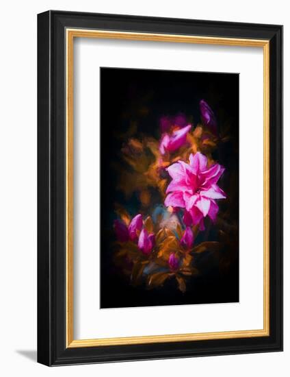 Azalea-Philippe Sainte-Laudy-Framed Photographic Print