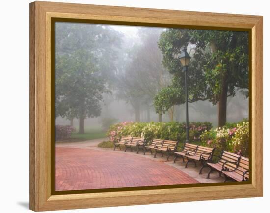 Azaleas Along Brick Sidewalk and Benches at Forsyth Park, Savannah, Georgia, USA-Joanne Wells-Framed Premier Image Canvas