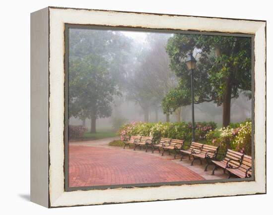 Azaleas Along Brick Sidewalk and Benches at Forsyth Park, Savannah, Georgia, USA-Joanne Wells-Framed Premier Image Canvas