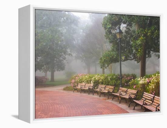 Azaleas Along Brick Sidewalk and Benches at Forsyth Park, Savannah, Georgia, USA-Joanne Wells-Framed Premier Image Canvas