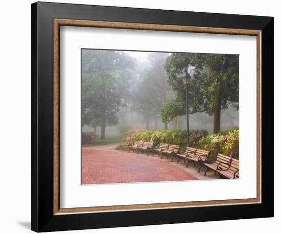 Azaleas Along Brick Sidewalk and Benches at Forsyth Park, Savannah, Georgia, USA-Joanne Wells-Framed Photographic Print