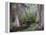 Azaleas and Cypress Trees in Magnolia Gardens, South Carolina, USA-Nancy Rotenberg-Framed Premier Image Canvas
