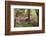 Azaleas and Japanese Maples at Azalea Path Arboretum and Botanical Gardens, Hazleton, Indiana-Richard and Susan Day-Framed Photographic Print