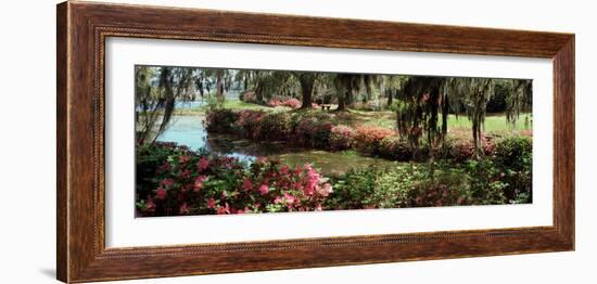 Azaleas and Willow Trees in a Park, Charleston, Charleston County, South Carolina, USA-null-Framed Photographic Print