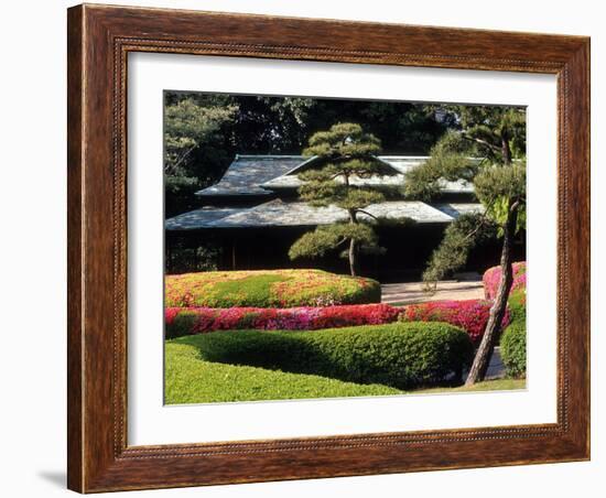 Azaleas at the Imperial Palace East Gardens, Tokyo, Japan-Nancy & Steve Ross-Framed Photographic Print