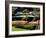 Azaleas at the Imperial Palace East Gardens, Tokyo, Japan-Nancy & Steve Ross-Framed Photographic Print