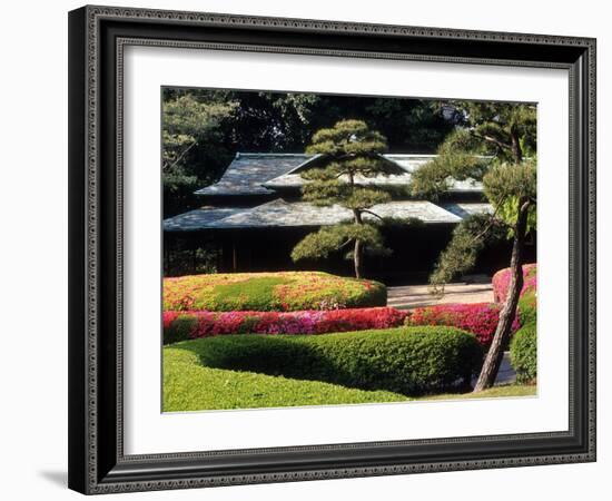 Azaleas at the Imperial Palace East Gardens, Tokyo, Japan-Nancy & Steve Ross-Framed Photographic Print