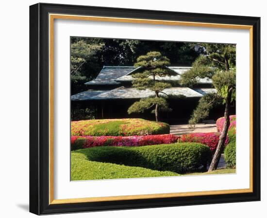 Azaleas at the Imperial Palace East Gardens, Tokyo, Japan-Nancy & Steve Ross-Framed Photographic Print