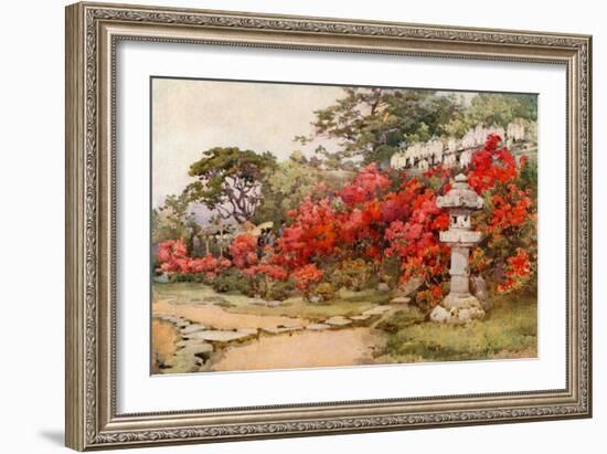 Azaleas, Awata-Ella Du Cane-Framed Giclee Print