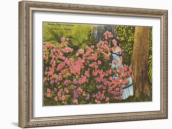 Azaleas, Cypress Gardens, Florida-null-Framed Art Print