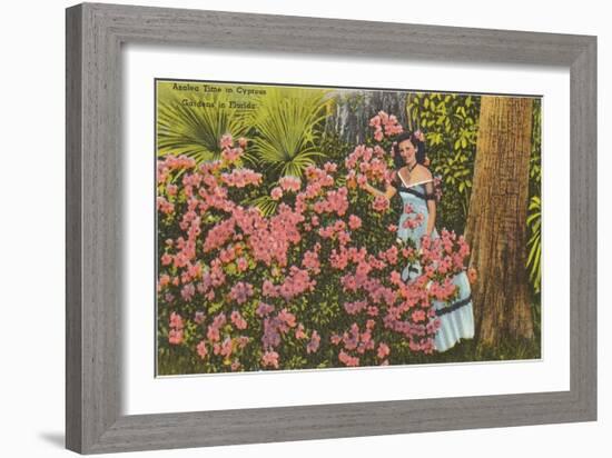 Azaleas, Cypress Gardens, Florida-null-Framed Art Print