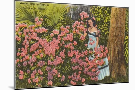 Azaleas, Cypress Gardens, Florida-null-Mounted Art Print