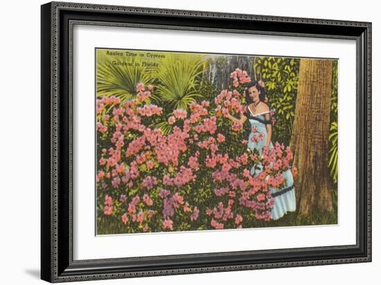 Azaleas, Cypress Gardens, Florida-null-Framed Art Print