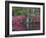 Azaleas in Bloom at Magnolia Plantation and Gardens, Charleston, South Carolina, Usa-Joanne Wells-Framed Photographic Print