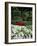 Azaleas in Japanese Garden, Portland, Oregon, USA-Adam Jones-Framed Photographic Print