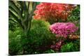 Photographic Print
